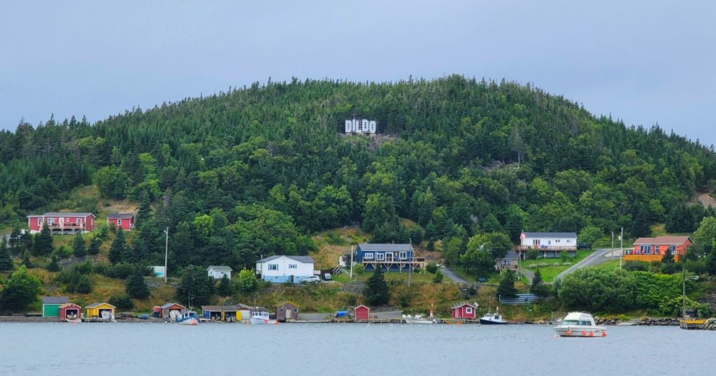 One of the unique things to do in Newfoundland is to visit the town of Dildo and its Hollywood-style sign!