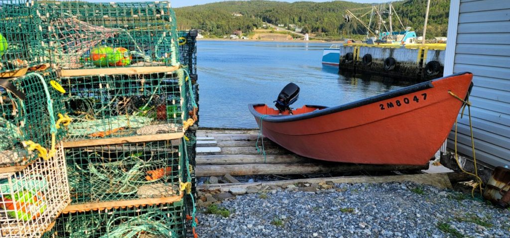 Fishing villages dot the landscape in Newfoundland.