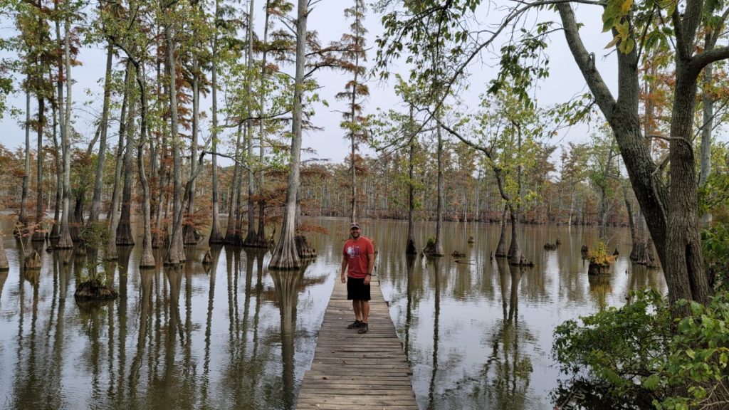 A pier going into Horseshoe Lake surrounded by Cypress trees.
