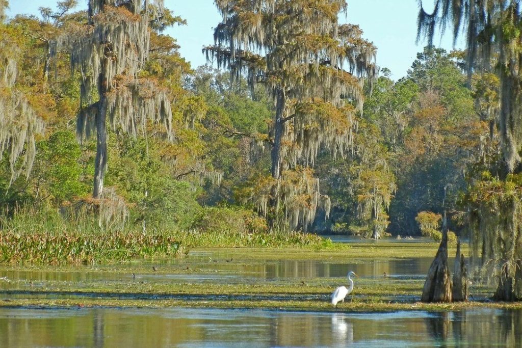 Wakulla Springs State Park in Tallahassee, Florida.