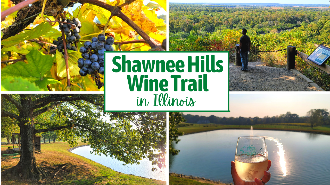 The Best Southern Illinois Wineries on the Shawnee Wine Trail Dang