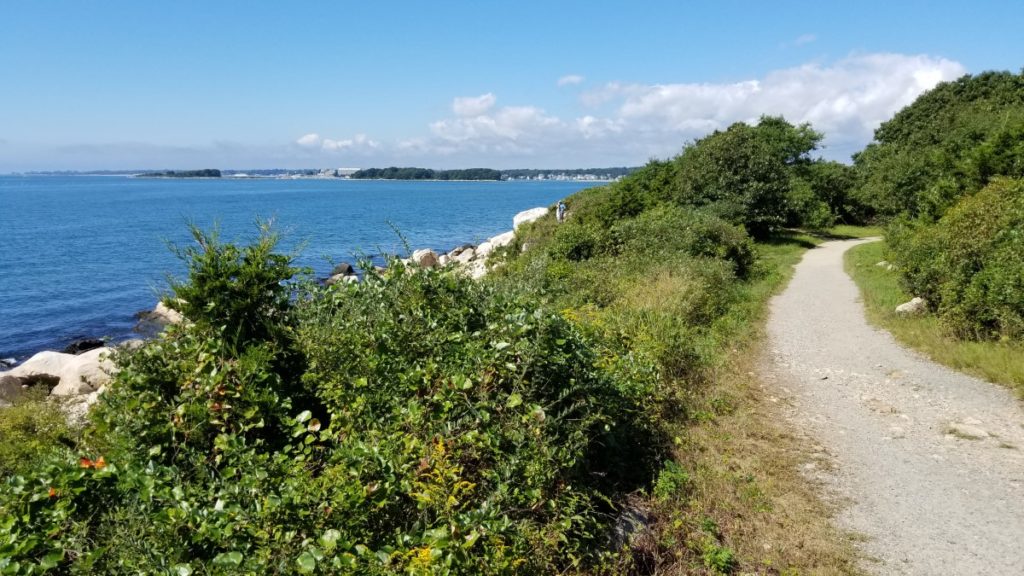The walking trail at Bluff Point State Park, Connecticut.