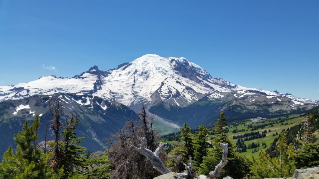 Skyline Trail Mount Rainier