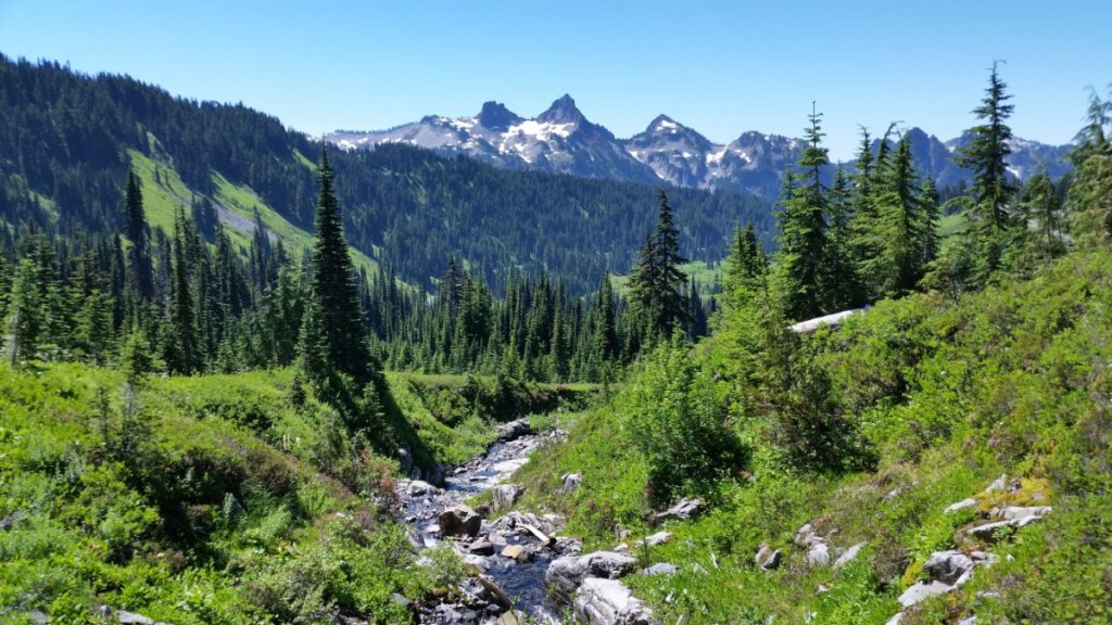 Skyline Trail is one of the best Paradise Mt Rainier hikes.