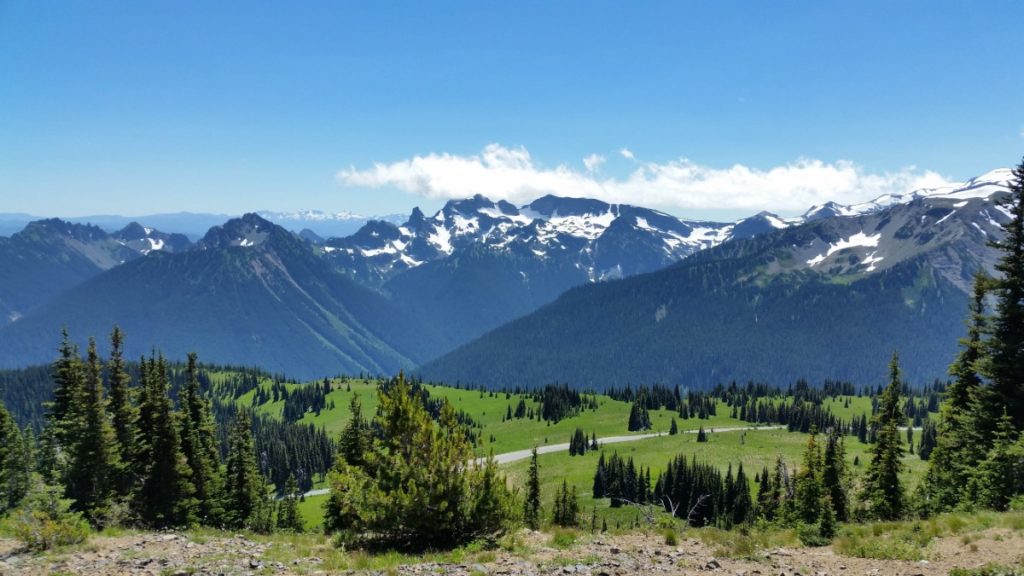 A snowcapped mountain landscape view with bright green grass and trees in a meadow below.