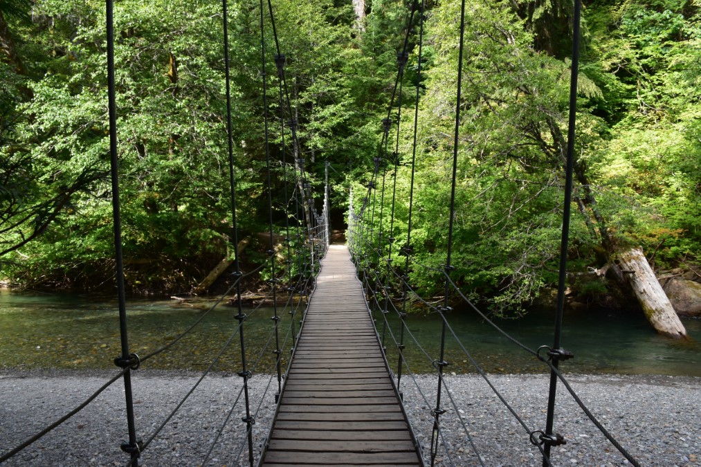 A suspension bridge on the Grove of Patriarchs Trail.