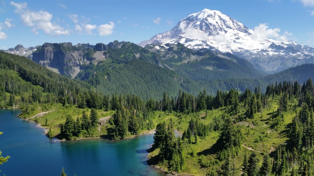 The view from the Tolmie Peak summit,