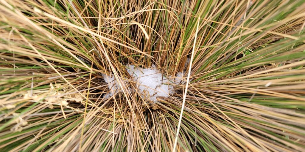 Snow on one of the best hiking trails in Quito.