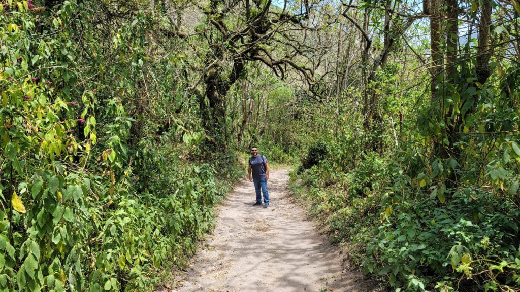 The tree-lined path down to the Pululahua Geobotanical Reserve.