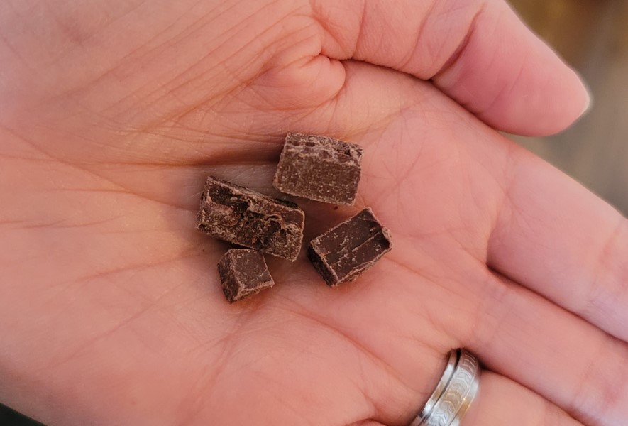Pieces of Yumbos Chocolate of Ecuador.