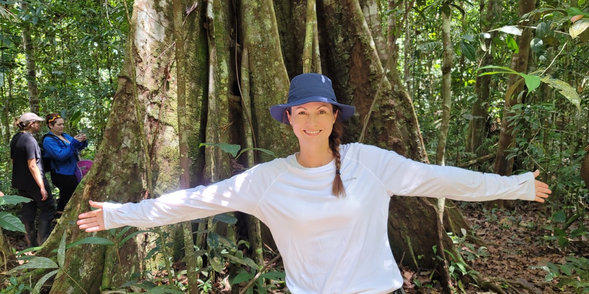 A wimba tree in the Amazon Rainforest in Ecuador.