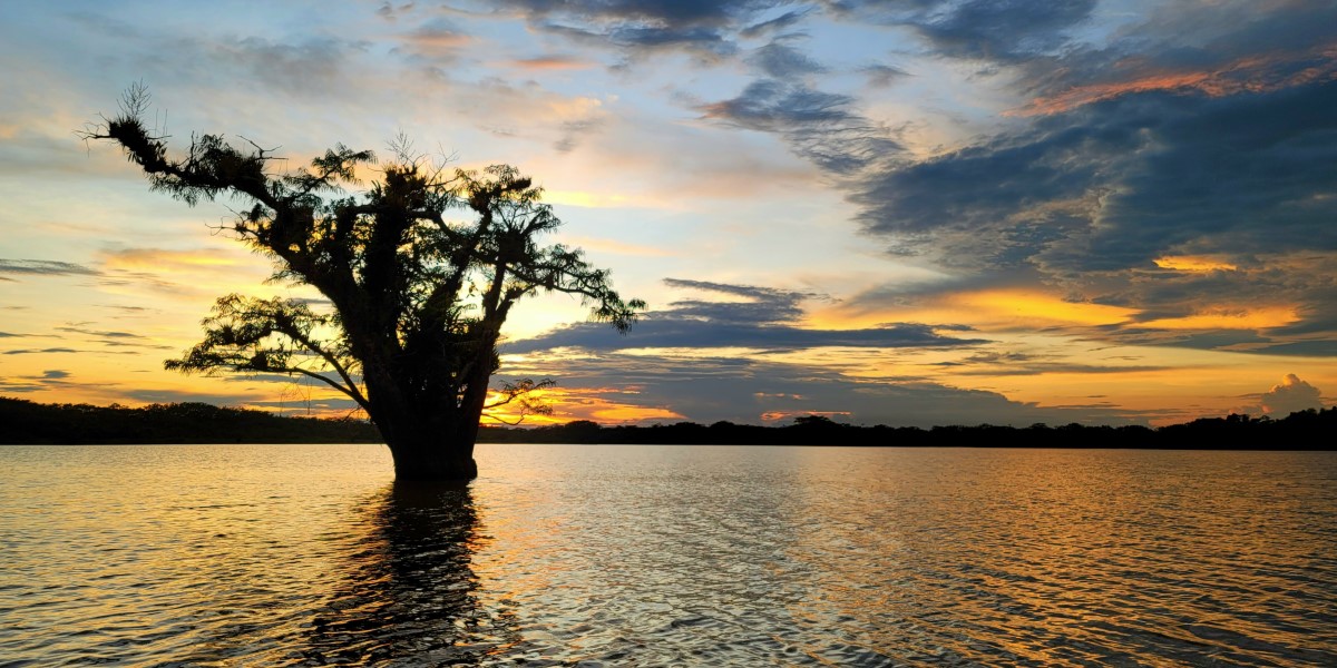 Laguna Grande at sunset in the Cuyabeno Reserve.