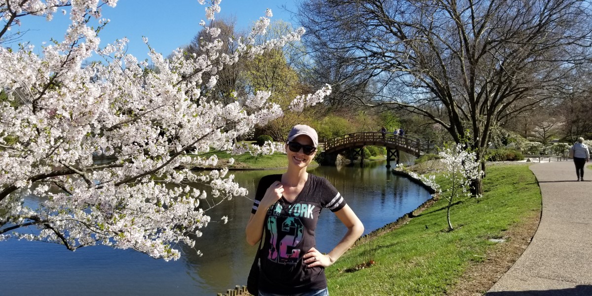 Cottonwood trees blooming at the Missouri Botanical Garden.