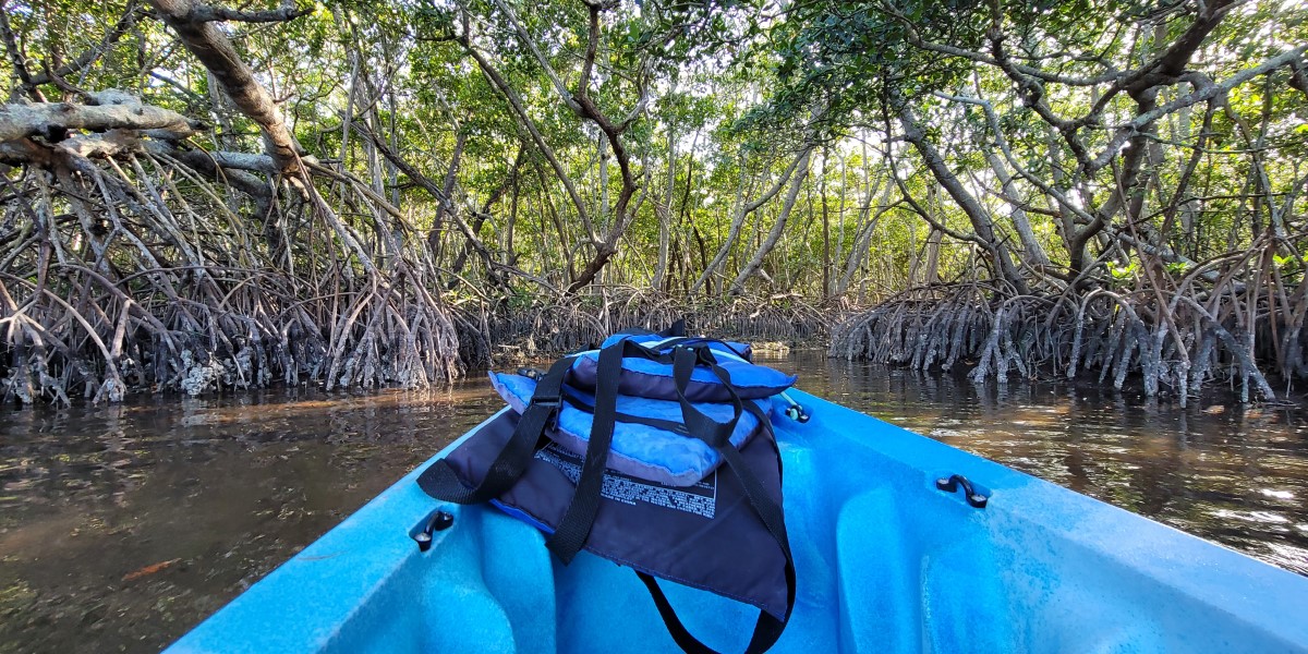 Warm places to travel in January include Anna Maria Island which has kayaking through mangroves.