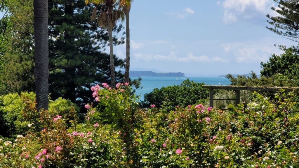 Judges Bay view from Dove Myer Robinson Park