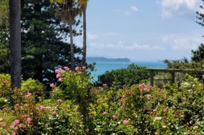 Judges Bay view from Dove Myer Robinson Park