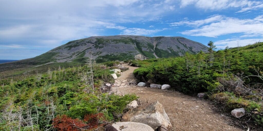 The view looking at Gros Morne Summit
