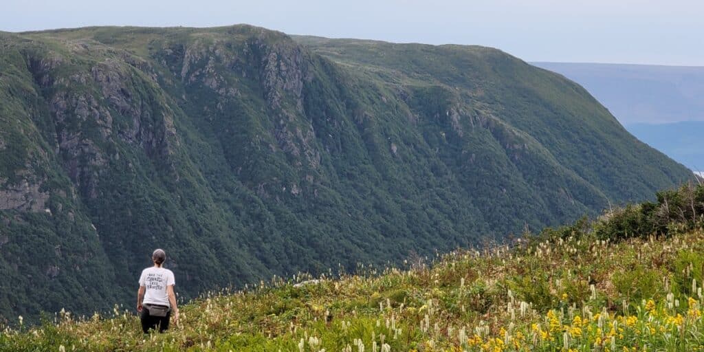 A hiker descending a mountain in a meadow filled with wildflowers with a towering mountain ahead of her.