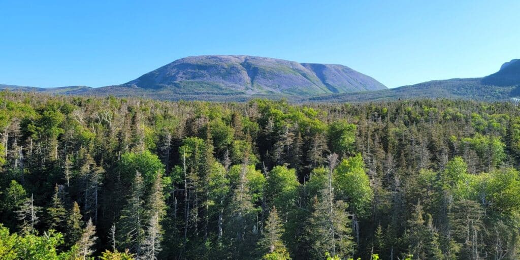 The view of Mont Gros Morne